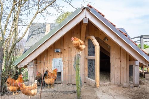 Ostseegarten Langholz - Ferienwohnung Kleine Wolke bis 2 Pers in Waabs