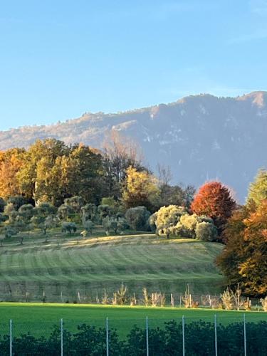 Alloggi Pesa in Mussolente