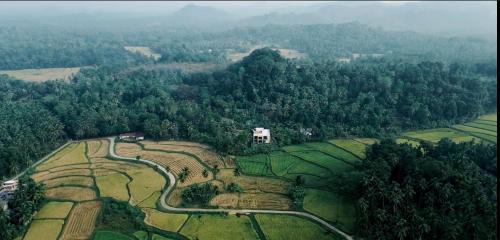 . The Paddy Breeze Villa