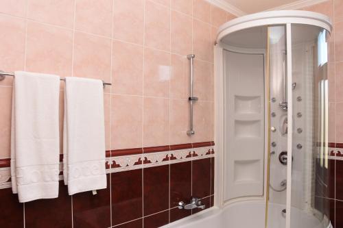 Guest House Vila Lujza - image 13
