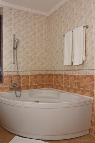 Guest House Vila Lujza - image 7