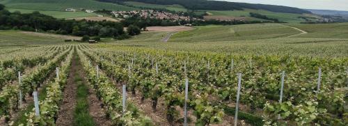 Létesítmények, La Villa Nova in Jonquery