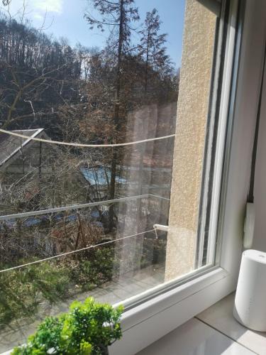 Aleksandar 4 - 50 m od bazena in Ribare