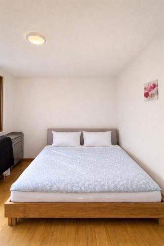 Lake View near Lucerne in Hergiswil