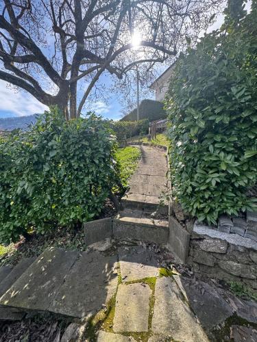 Lake View near Lucerne in Hergiswil