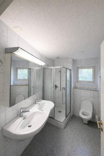 Lake View near Lucerne in Hergiswil