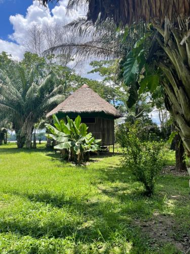 Tambopata Haven lodge in Sandoval
