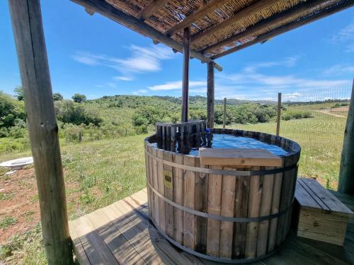 Sierra Pacífica (Sierra Pacifica) in Minas