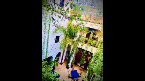Riad LE DROMADAIRE BLEU by Weekome - image 12