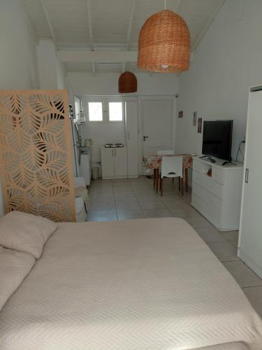 Jana Dpto in Barrio Parque Luro