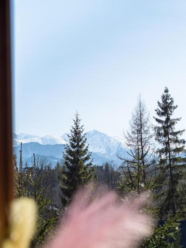 LookTatry Willa Pod Stokiem Apartments & Jacuzzi obrázok
