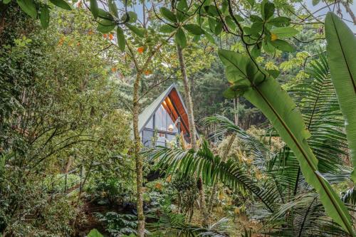 Cabañita Entreaguas - Glamping A-Frame El Retiro
