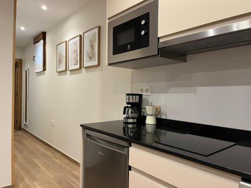 köök, Apartamentos Miguel 1 in Onis