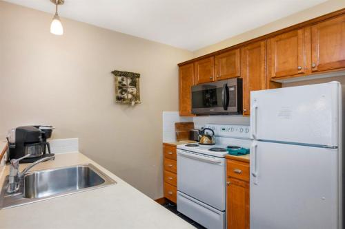 Allegheny339 Hot/Tub/Pool,Ski In/Out,Village in Snowshoe, USA