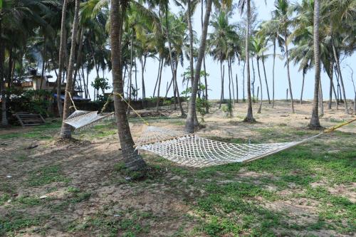 Apkārtne, STRIPGREENS BeACH & BACKWATER RESORT VALIYAPARAMBA in Valiyaparamba