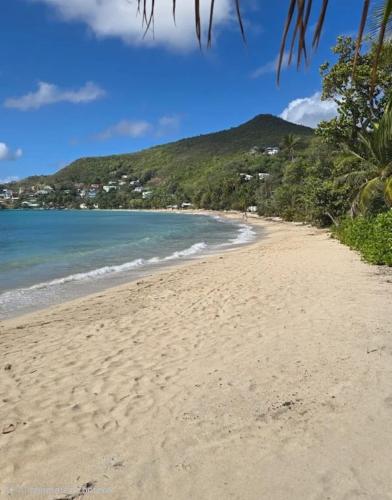 Taylor's Apartments Bequia - One bedroom apartments perfect for singles, couples & small families in Friendship