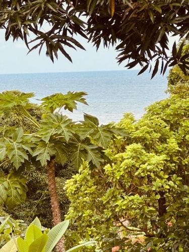 Wonderland on Little Corn Island in Little Corn Island