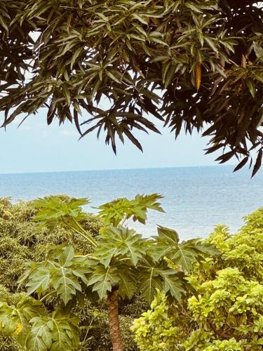 Wonderland on Little Corn Island in Little Corn Island