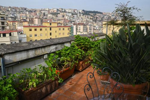 B&B Casamiranapoli, Neapel (Foto 6)