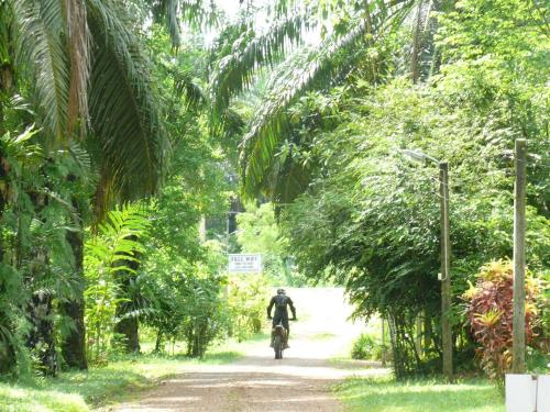 Suan Bang Bon Guest House