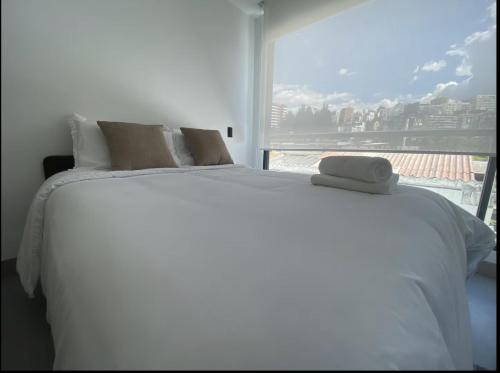 Cozy apartment in the heart of Quito