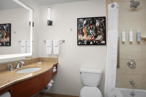 Hilton Garden Inn Fort Worth Medical Center - image 19