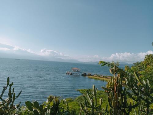 Honduyate in Las Marias