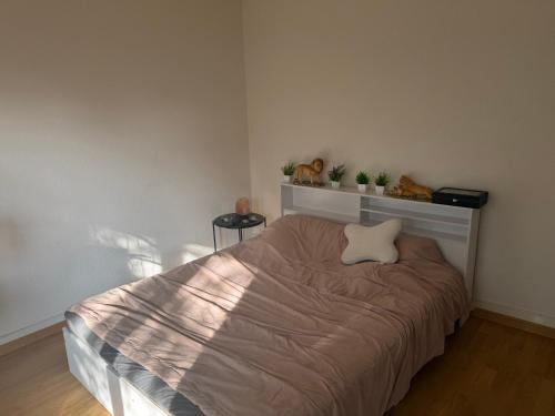 Chambre dans colocation chambre d'hôte Viterbe