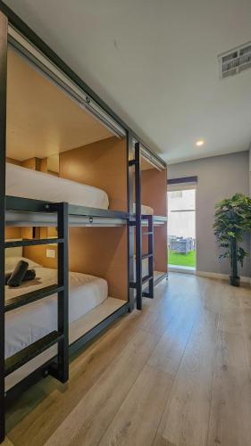 Shared room, mixed dormitory, 4 guests