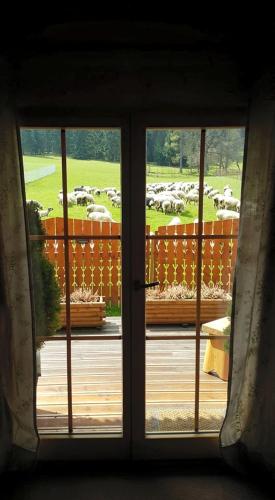 Domek Otulina, Zakopane (fotografie 9)