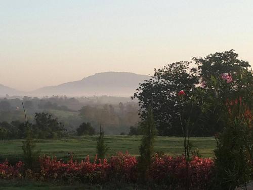 Khaoyai Nature Retreat