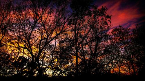 5 Ojo Inn Bed and Breakfast 5 Ojo Inn Bed and Breakfast