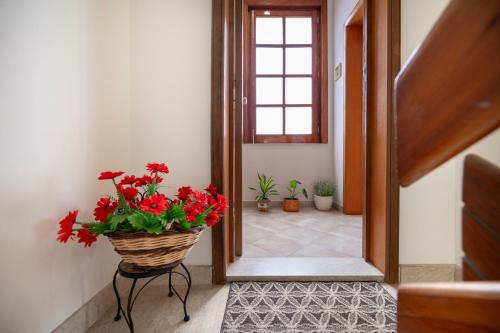 La Casa di Mara - image 2