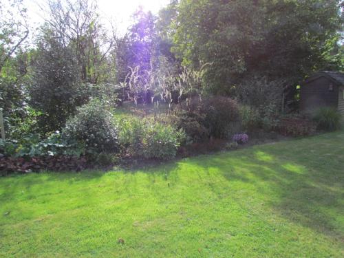 B&B De Ark - image 3