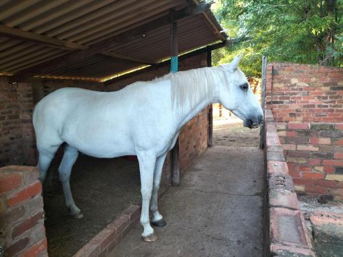 Magalies B&B SPITSKOP - image 3