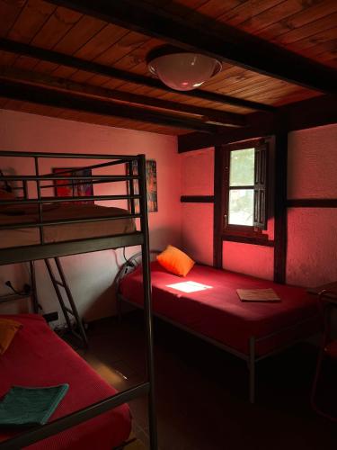 Habitación compartida, para mujeres
