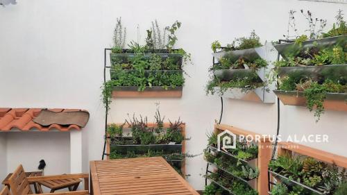 Pura Vida Alentejo by Portus Alacer gîte à louer Alvisquer