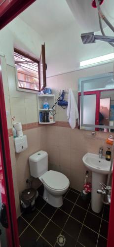 Noeli's Apartment - image 2