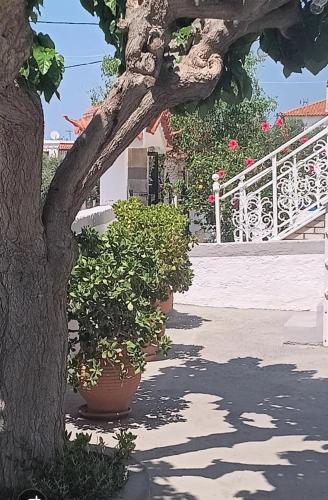 Camera doppia, balcone