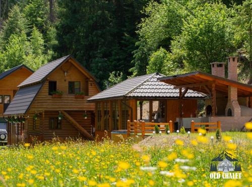 Old Chalet Apuseni in Horea