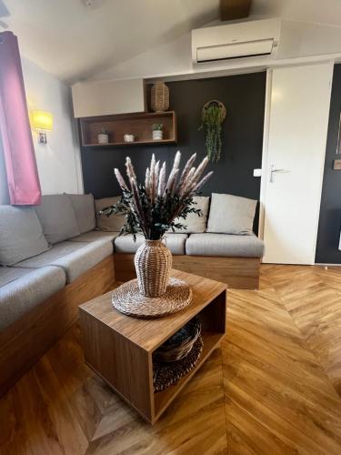 Mobil-Home climatisé presqu'ïle Cap-Ferret 6 pers