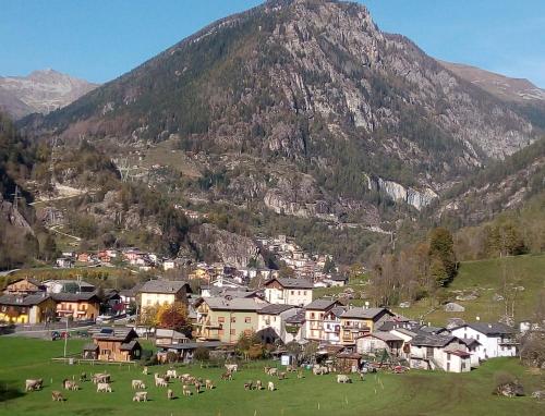 Appartamento Verdenatura in Branzi