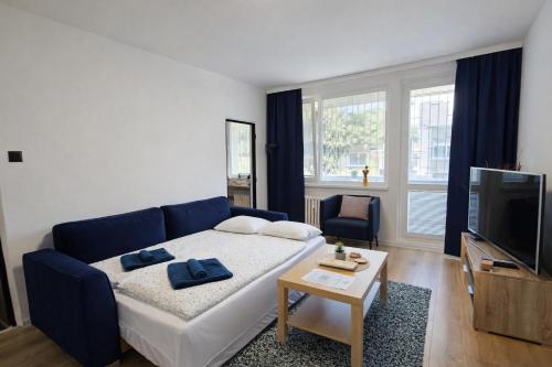 Apartment KarLove 3 rooms free parking, family friendly, near center, Bratislava (fotografie 8)