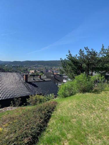 Leilighet med utsikt på solsiden (Leilighet med utsikt pa solsiden) in Конгсберг