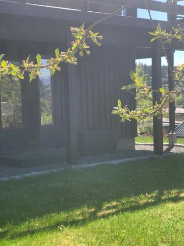 Leilighet med utsikt på solsiden (Leilighet med utsikt pa solsiden) in Конгсберг