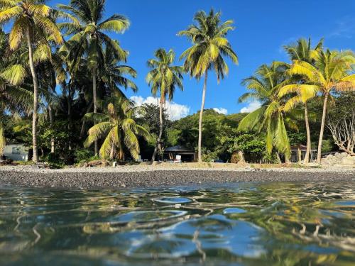 Villa pieds dans l'eau, côté mer (Villa pieds dans l'eau, cote mer) in Saint-Pierre