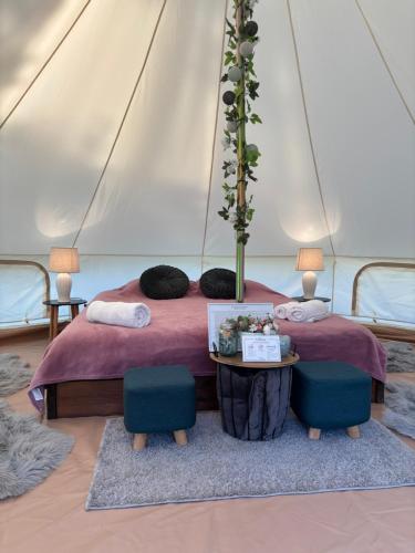 Green Garden Glamping Retezat in Riu De Mori