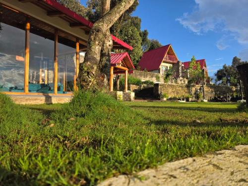 花園, The Jungle Hook Binsar in 賓沙
