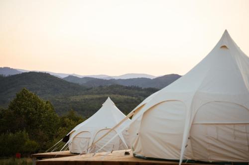 Glamping Stolat in Stolat