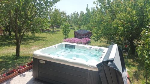 Guesthouse Tulipán Vendégház (Guesthouse Tulipan Vendeghaz) in Vinica